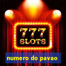 numero do pavao